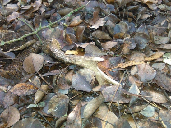 Nedeľná prechádzka :))