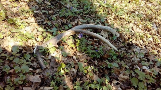 Pohľad na nezaplatenie !!