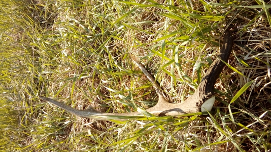 Odložený na Lúke :) ✌