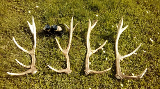 Keď  šťastie praje