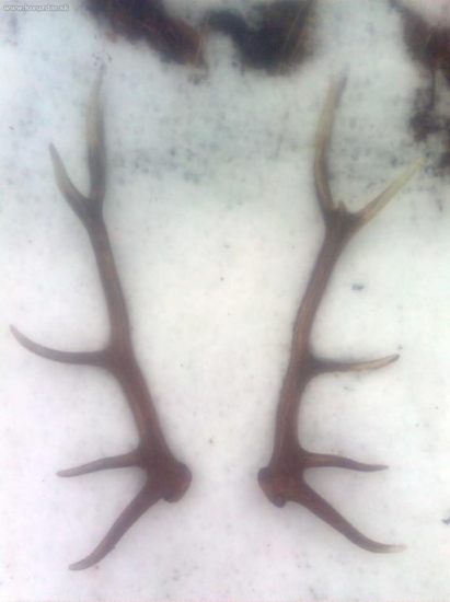 Konecne uz aj ja nieco