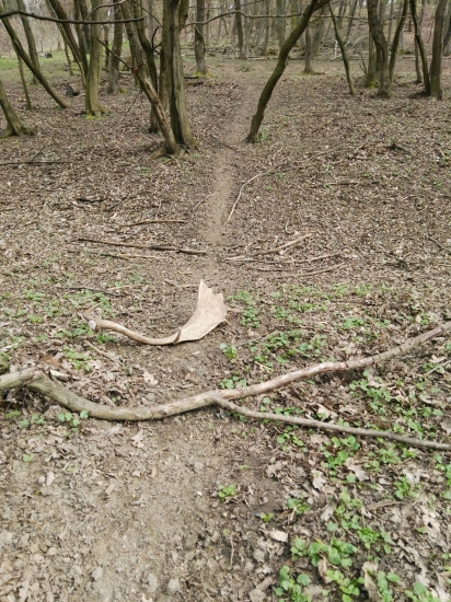 Na dančom chodníku