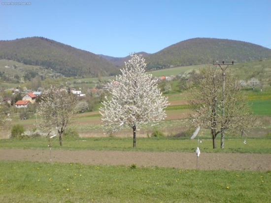 Lesik