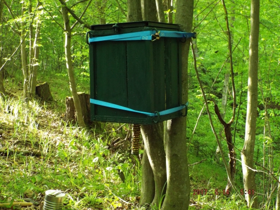 Krmítko už na svojom mieste :)