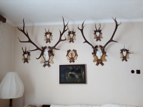 U Strýka na návšteve