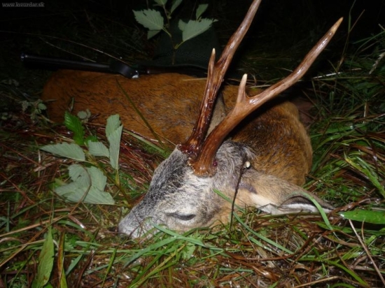 Srnček mojho ocina 8 rokov