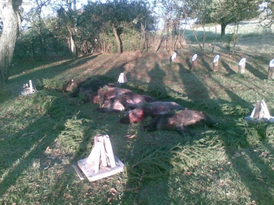 Výrad po duričských skúškach