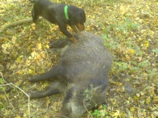 tak a už mi neujdeš