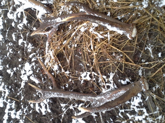 Nepravydelny 12torak