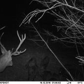 Aj mne nieco nechajte:)))