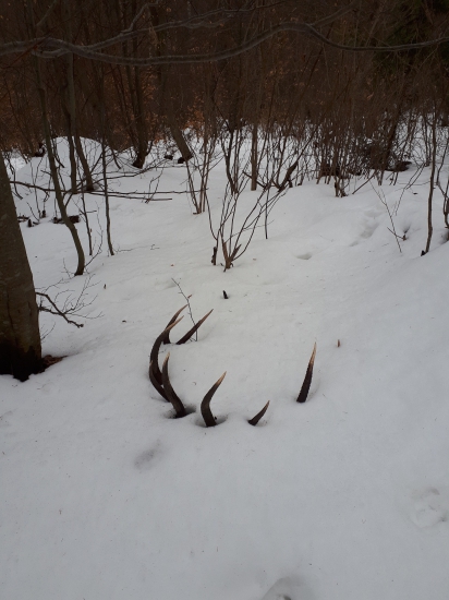 Moj prvy úhyn 202 bodovy