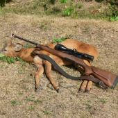 srnček