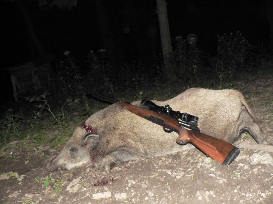308 win