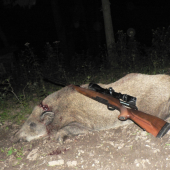 308 win