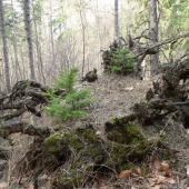 jeden končí a další začína