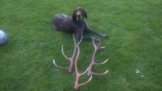 konečne sa zadarilo