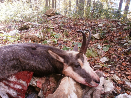 dohľadaný po 24 hodinách