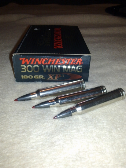 winchester XP-3 300wm