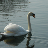 krásna, krajšia...ja