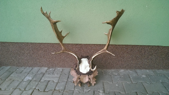 uz su na umelej lebke