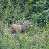 keď prestalo pršať