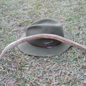 55,5cm