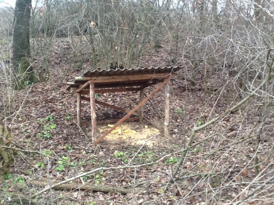 Dnes hladovať nebudú