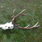 Dalsi z mojich nalezov