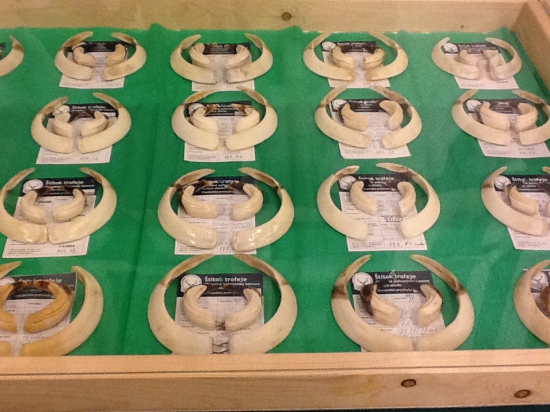 CHPT - Košice okolie