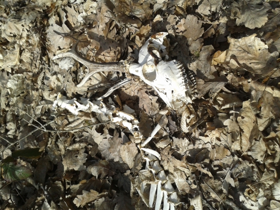 Na Veľkonočný pondelok