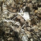 Na Veľkonočný pondelok