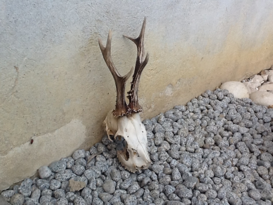 Veľkonočný pondelok (inýpohľad