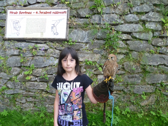 Poštolka s poštolkou