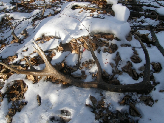Spomienka na marec...