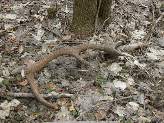 kto hľadá...nájde !