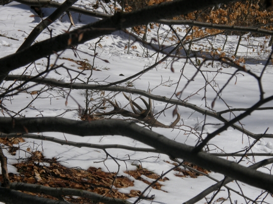 To najkrajšie z marca...