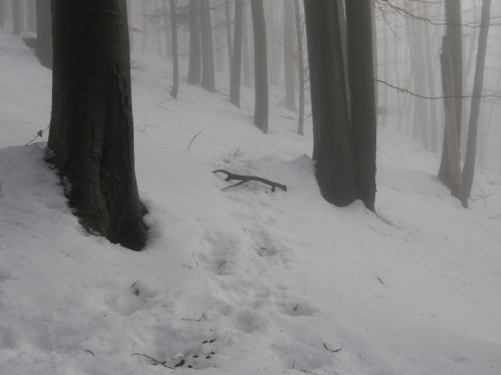 po jelenej špure...