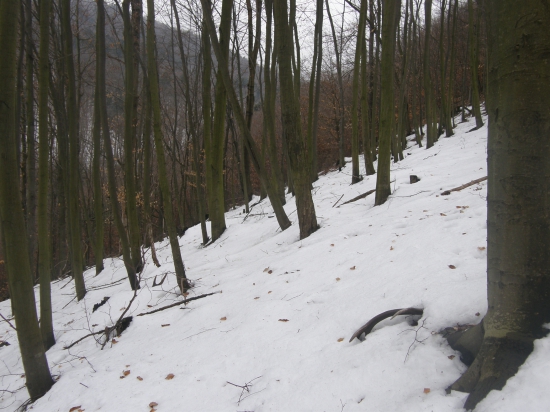 Keď sa šťastie unaví...