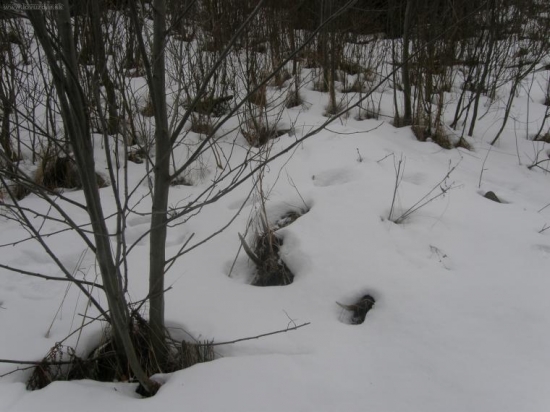 takto na mňa čakal