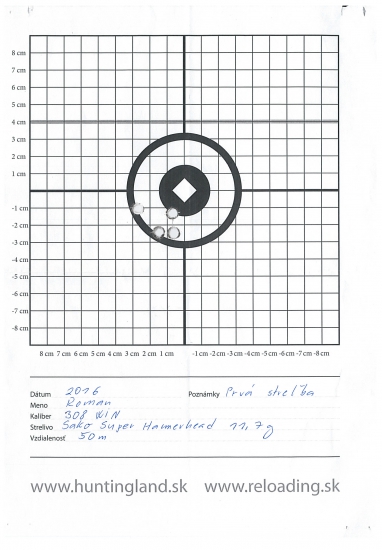 308 WIN Sako Super Hammerhead 11.7 g