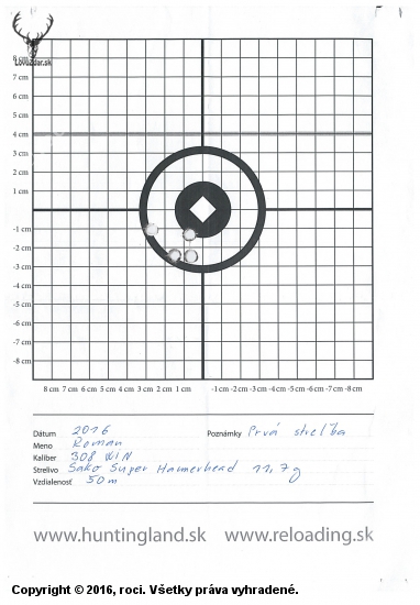 308 WIN Sako Super Hammerhead 11.7 g