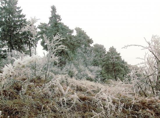 ozdoba menom inoväť :)