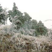 ozdoba menom inoväť :)