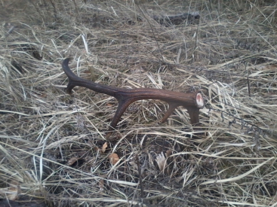 konečne čerstvý   12torák