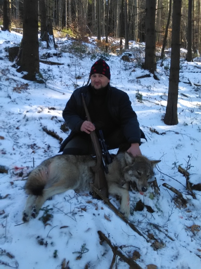 Silvestrovska vlcica