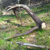 Odležané 3kg