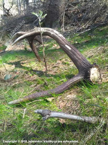 Odležané 3kg