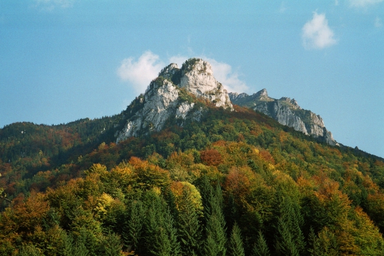 z podžiaru