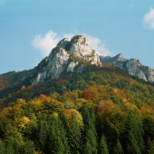 z podžiaru