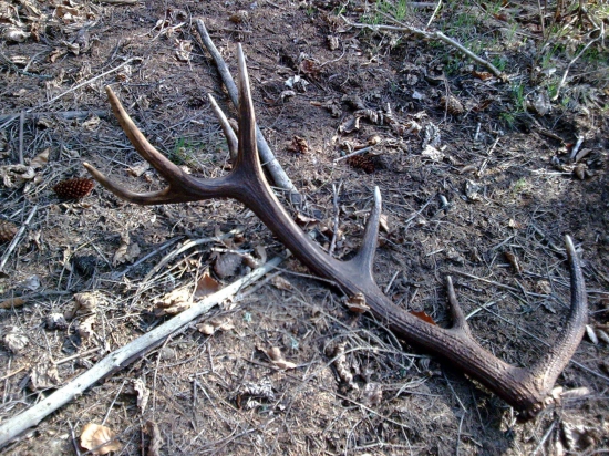 Len tak si tam ležal